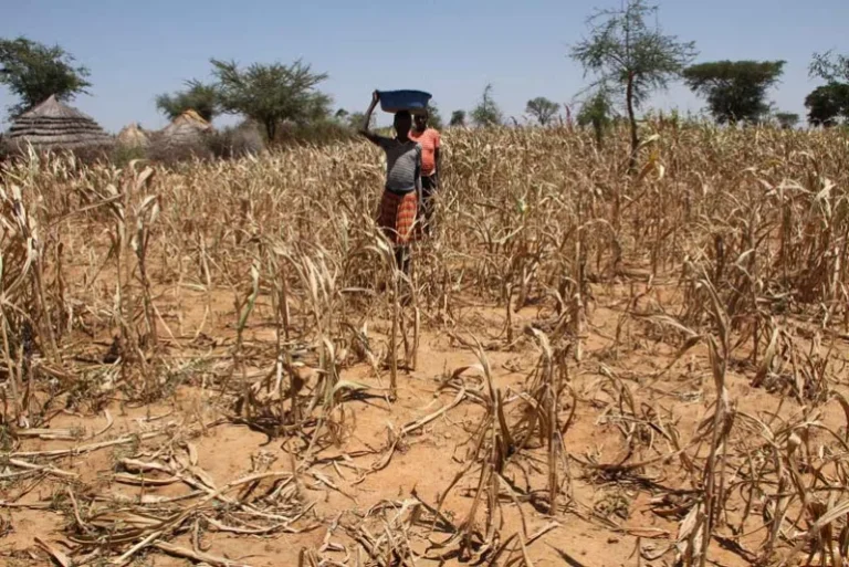 CLIMATE ACTION: Advancing environmental public learning in Uganda