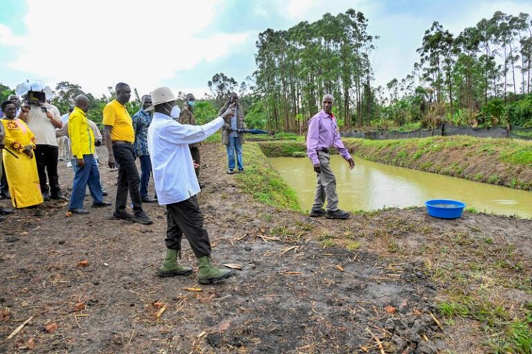 DECAY AND COLLAPSE: The rise and rise of environmental corruption in Uganda