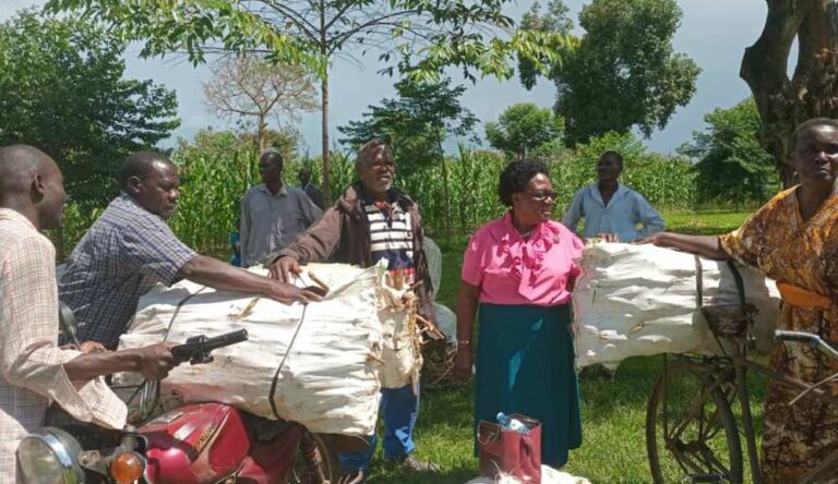 POVERTY ALLEVIATION: Namuganza ushers in prosperity to Bukono with State House’s PAD program