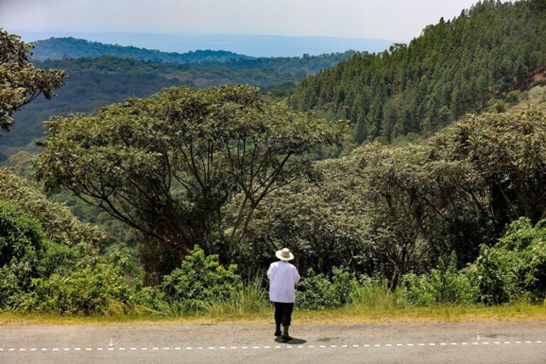 NEEDED CHANGE: Transitioning from environmental illiteracy to environmental literacy in Uganda