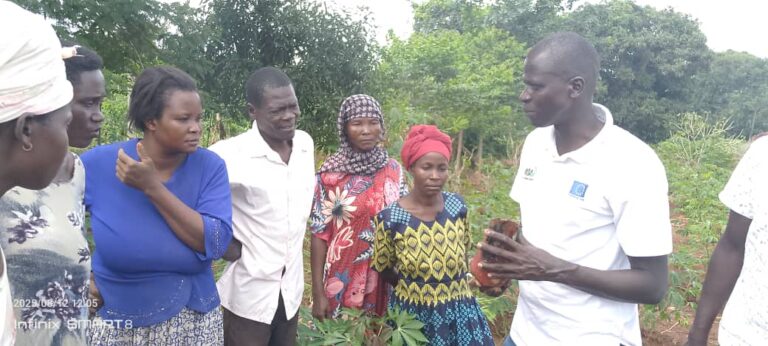 GREEN FUTURE: Busoga attempts to shift from sugarcane to coffee and bananas for sustainable prosperity